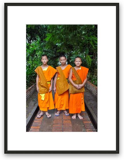 Three young Buddhist monks at a monastery in Chiang Mai, Thailand Framed Fine Art Print