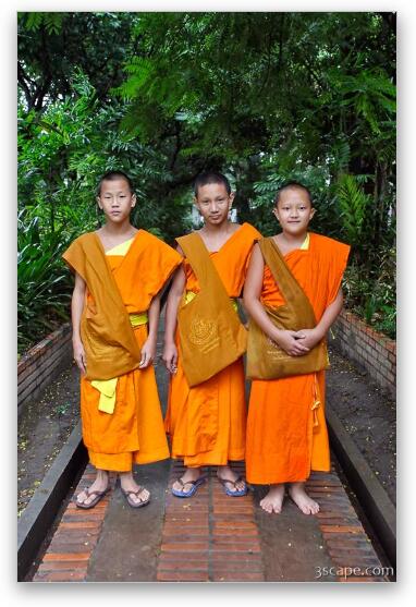 Three young Buddhist monks at a monastery in Chiang Mai, Thailand Fine Art Metal Print