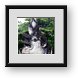Buy Framed Print