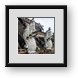 Buy Framed Print