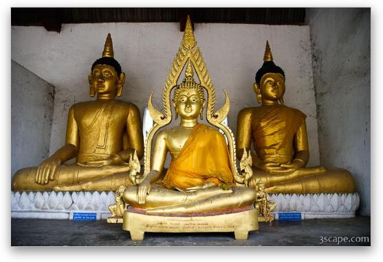 Buddhas near Wat Chedi Luang Fine Art Metal Print