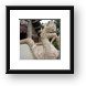 Temple of a mummified monk Framed Print