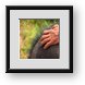 Buy Framed Print