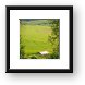 Rice farm Framed Print