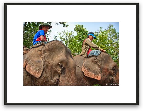 Elephant riding tour guides Framed Fine Art Print