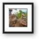 Elephant riding tour guides Framed Print