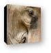 Our elephant looked sad... Canvas Print