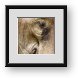 Buy Framed Print