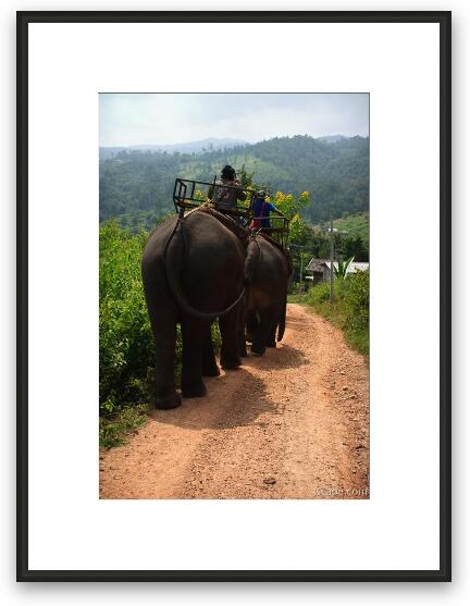 Good bye elephants! Framed Fine Art Print