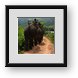 Buy Framed Print