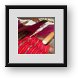 Buy Framed Print