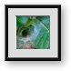 Buy Framed Print