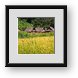 Buy Framed Print