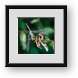 Buy Framed Print