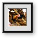 Buy Framed Print