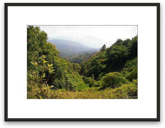 Northern Thailand jungles - Doin Inthanon National Park Framed Fine Art Print