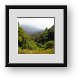 Buy Framed Print
