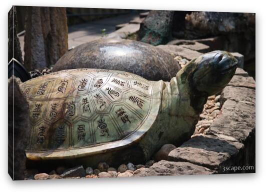 Carved turtle Fine Art Canvas Print