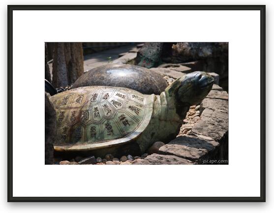Carved turtle Framed Fine Art Print