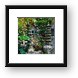 Thai gardens Framed Print