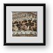 Buy Framed Print