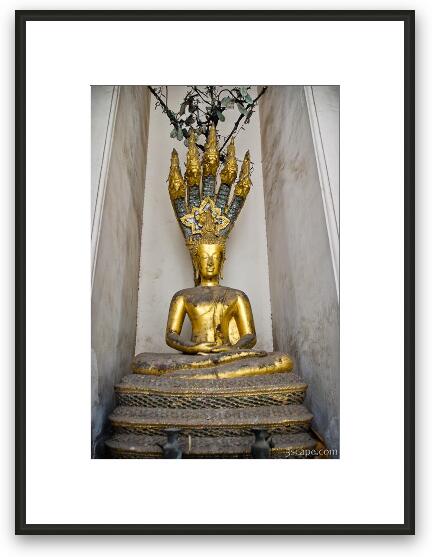 Buddha Framed Fine Art Print