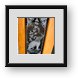 Buy Framed Print