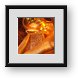 Buy Framed Print