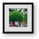 Buy Framed Print