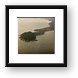 Buy Framed Print