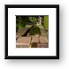 Buy Framed Print