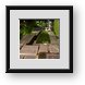 Buy Framed Print
