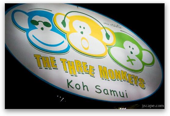 The Three Monkeys restaurant and bar - where everything on the menu had monkey in it. The word, not the actual monkey! Fine Art Metal Print