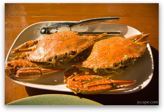 Thai crabs Fine Art Metal Print