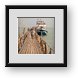 Buy Framed Print