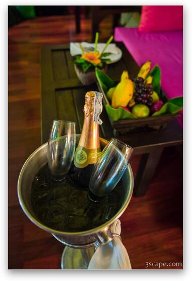 Bubbly for the honeymooners Fine Art Metal Print