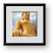 Buy Framed Print
