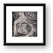 Ancient Roots Framed Print