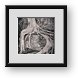 Buy Framed Print