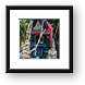 Buy Framed Print