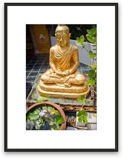 A Little Buddha Framed Fine Art Print