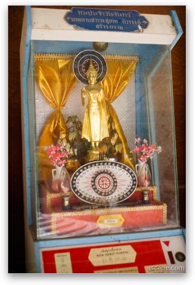 These were Buddha wishing machines - drop a thai baht and make a wish Fine Art Metal Print