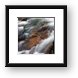 Buy Framed Print