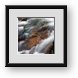 Buy Framed Print
