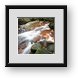 Buy Framed Print