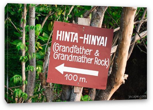 Go here to see Grandfather and Grandmother rocks - don't let this sign fool you Fine Art Canvas Print