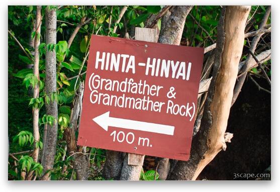 Go here to see Grandfather and Grandmother rocks - don't let this sign fool you Fine Art Metal Print