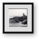 Buy Framed Print