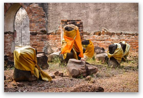 Ruins of sacred Buddha statues, Wat Phrasrirattanamahathat Fine Art Print