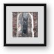 Buy Framed Print